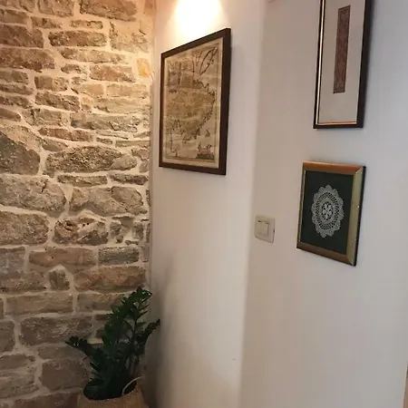 Fig Tree House 度假居