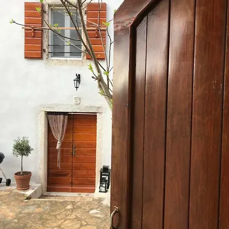 Fig Tree House