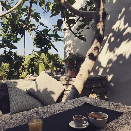 Fig Tree House Bale