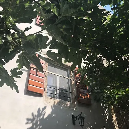 度假居 Fig Tree House *