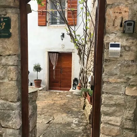 Fig Tree House Bale